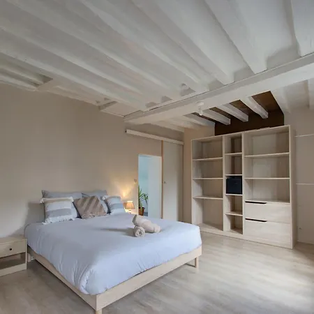 Апартаменты Cozy T2 - Quartier De Nantilly - Сомюр