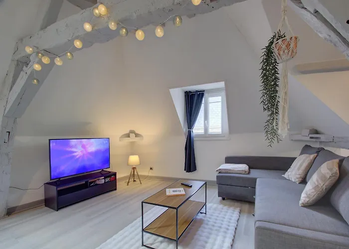 Cozy T2 - Quartier De Nantilly - *